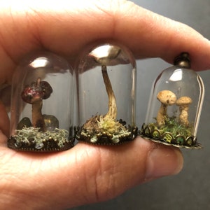 Terrarium dome /miniature forest/Nature jewelry/earthy jewelry/fairy necklace/naturlover gift/forest pendant/resin necklace/real mushroom