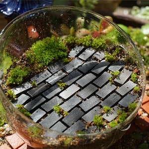 20pcs Fairy Garden Supplies Miniature Tiny Black Brick Succulent Miniature Terrarium Accessories  1：16