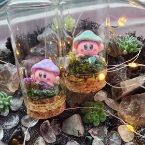 Mini Kirby Terrarium