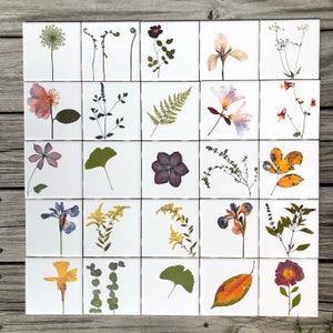 Garden Botanical Ceramic Tiles 4.25" x 4.25" inches - YOU PICK the DESIGN - Indoor and Outdoor Use, Floor & Wall Tiles, Pressed Flower Art