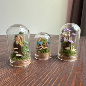 miniature glass terrarium