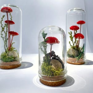 Miniature Red Mushroom Terrarium Glass Diorama Made With Dried Florals and Mosses