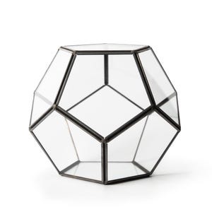 Dome Glass Terrariums