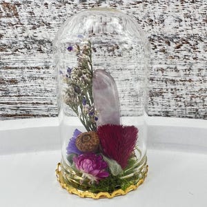 Miniature Preserved Botanical Glass Dome Terrarium with Dried Mushrooms, Flowers, Moss and Natural Crystals - Unique Natural Home Decor PT11