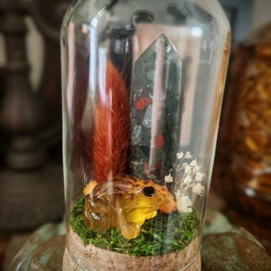 Froggy & Dragons Blood Stone Dome